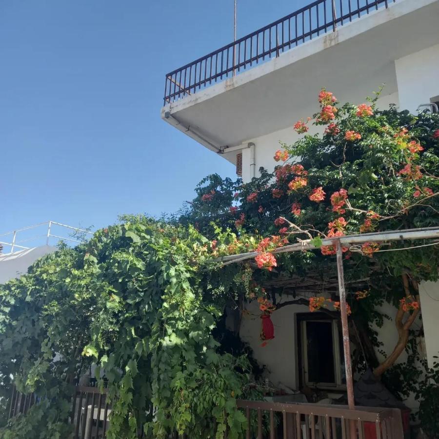 Ampelos Andros Batsíon Exteriör bild
